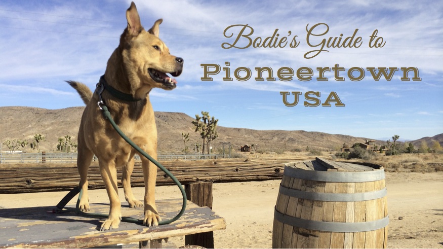 Bodie's Guide to Pioneertown