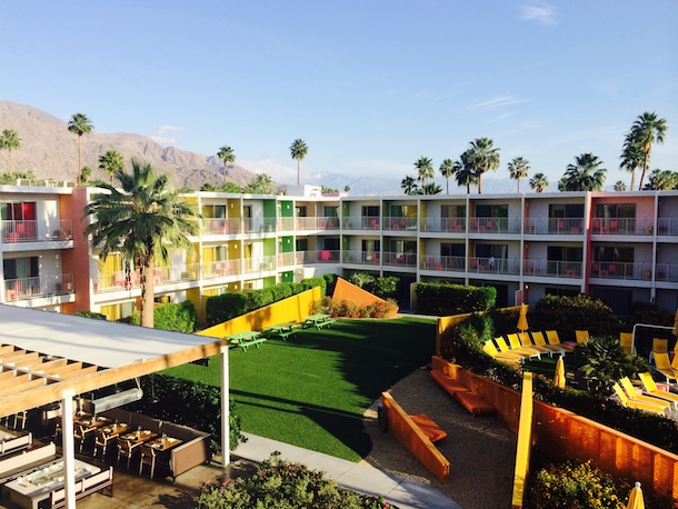 Bodie's Guide to Dog Friendly Hotels in Palm Springs - Bodie On The Road