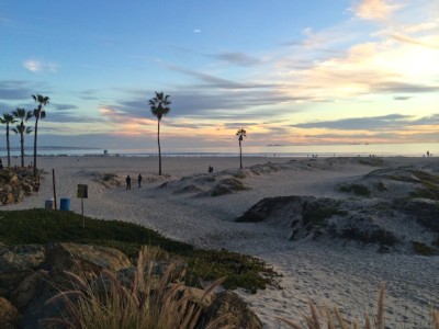 Bodie's Love Letter to Dog-Friendly Coronado - Bodie On The Road